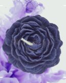 Fleur Lavandelle